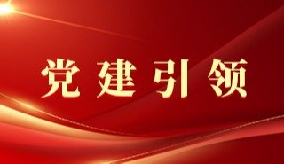 南平市政府副市长林湫参加会议